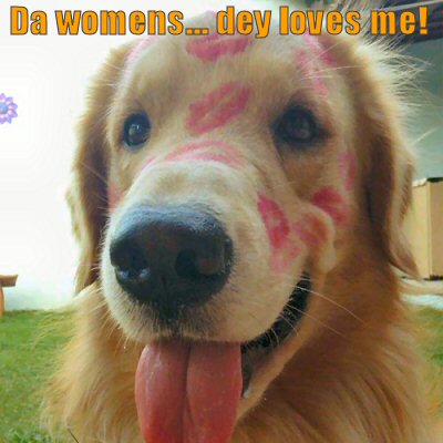 Dog with lots of lipstick kisses on him