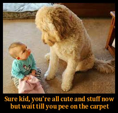 dog and baby on floor