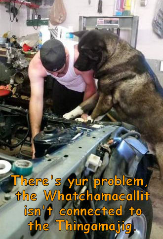 dog helping fix car