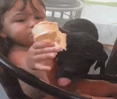 Dog stealing Ice Cream from little girl